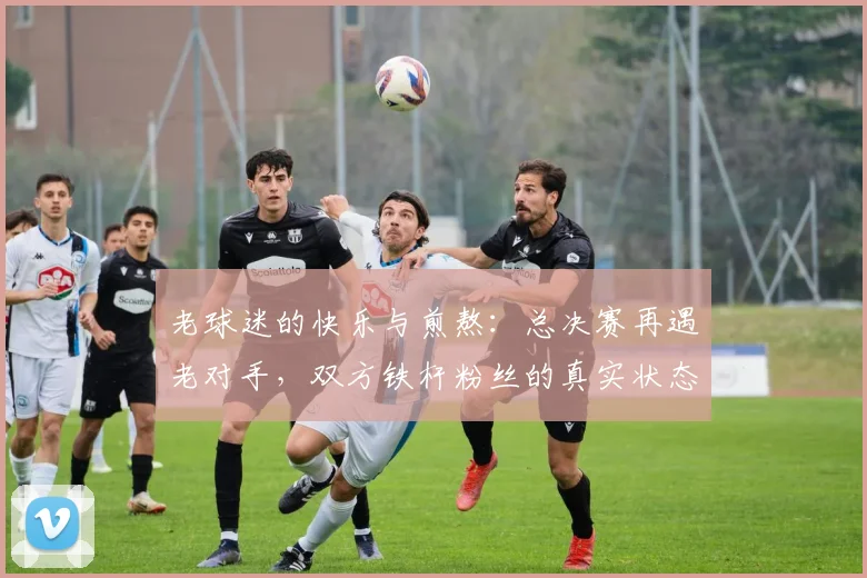 老球迷的快乐与煎熬:总决赛再遇老对手,双方铁杆粉丝的真实状态全解(2026版)